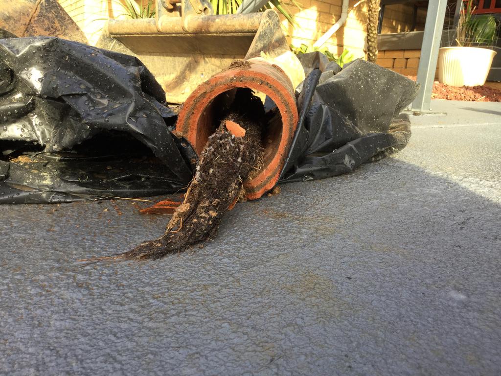 Wilco Relinign Blocked Drains Specialist